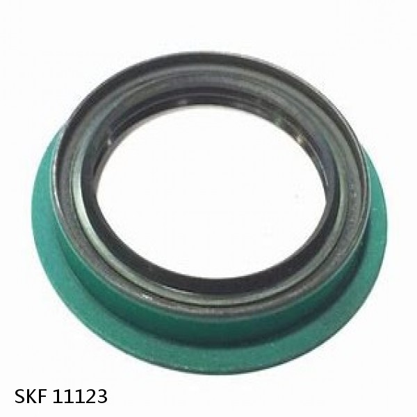 11123 SKF INDUSTRIAL SEALS #1 small image