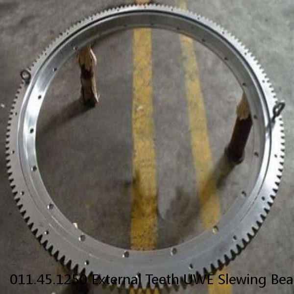011.45.1250 External Teeth UWE Slewing Bearing/slewing Ring #1 small image
