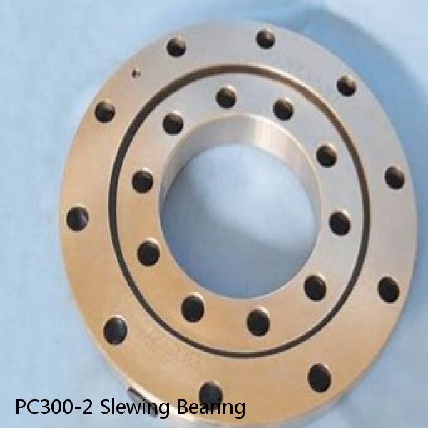PC300-2 Slewing Bearing #1 small image