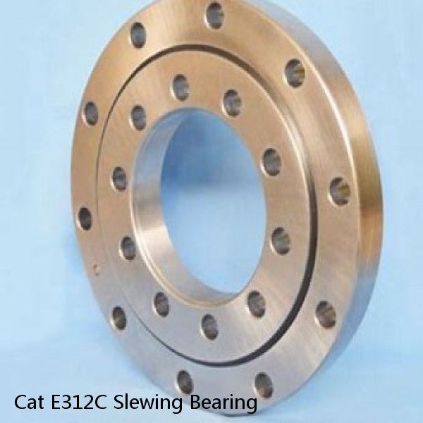 Cat E312C Slewing Bearing #1 small image