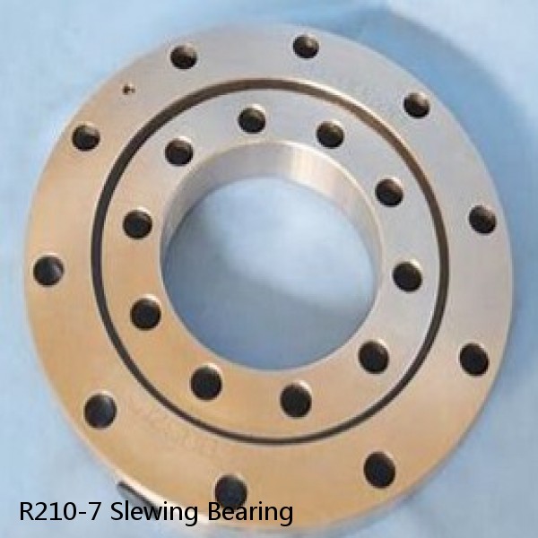 R210-7 Slewing Bearing #1 small image