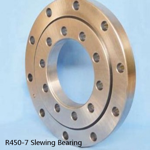 R450-7 Slewing Bearing #1 small image