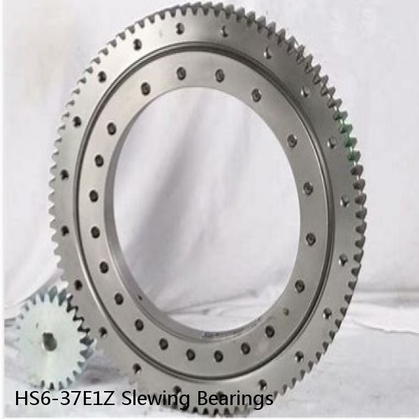 HS6-37E1Z Slewing Bearings #1 small image