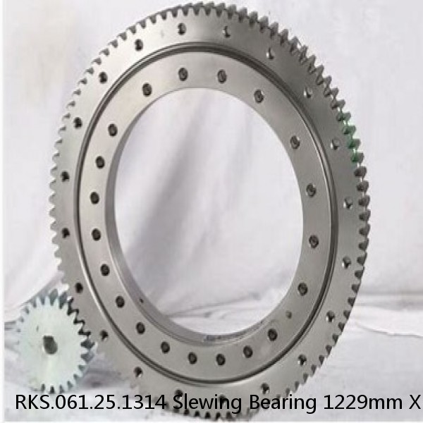 RKS.061.25.1314 Slewing Bearing 1229mm X 1448mm X 68mm #1 small image