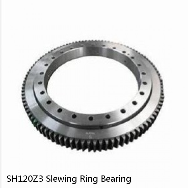SH120Z3 Slewing Ring Bearing #1 small image