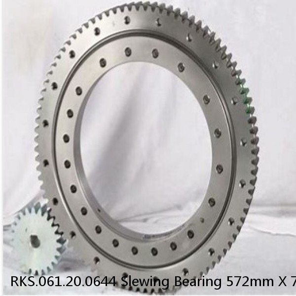 RKS.061.20.0644 Slewing Bearing 572mm X 742.8mm X 56mm #1 image