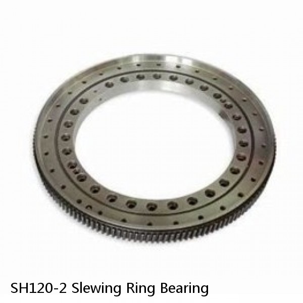 SH120-2 Slewing Ring Bearing #1 image